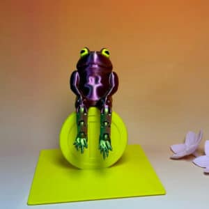 Customized Hanging Frog