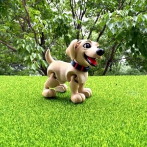 Customized Labrador