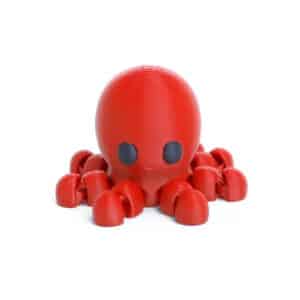 Cute Mini Octopus