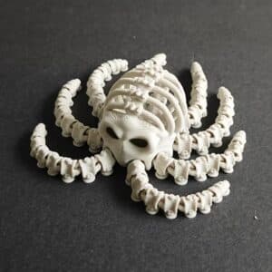 Skeleton Octopus