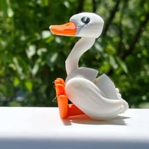 White Orange Swan