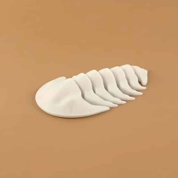 Trilobite Model Toy