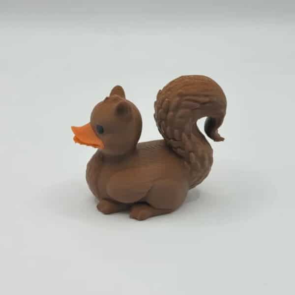 Funny Squirrel Duck