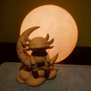 Customized Axolotl