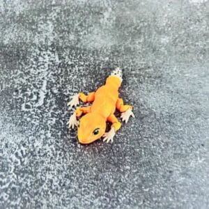 Lizard Animal Toys