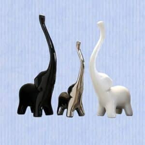 Long Trunk Elephant
