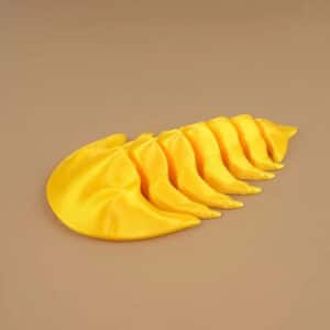 3D Printed Trilobite