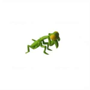 Mantis Statue
